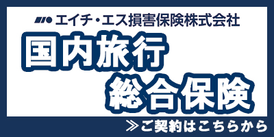 エイチ・エス損保